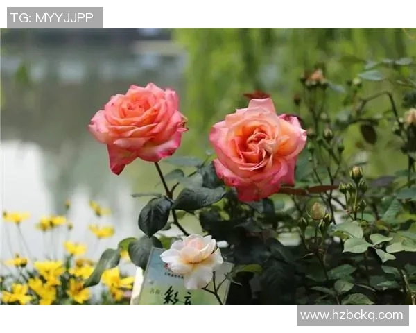 俞长栋:从基层到高层的奋斗历程与人生哲学探索 俞长栋:从基层到高层的奋斗历程与人生哲学探索