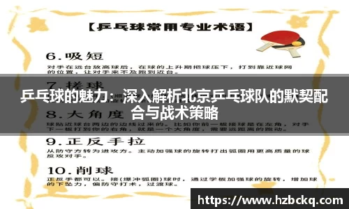 乒乓球的魅力：深入解析北京乒乓球队的默契配合与战术策略